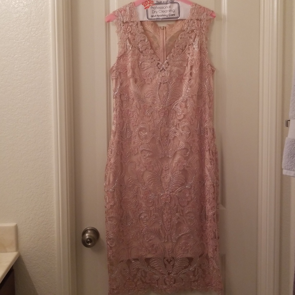 Todashi Shoji Pink Dress